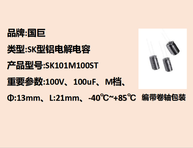 100V,100uF,13mm,21mm